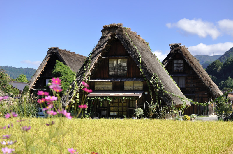 白川村萩町（岐阜県・山村集落）